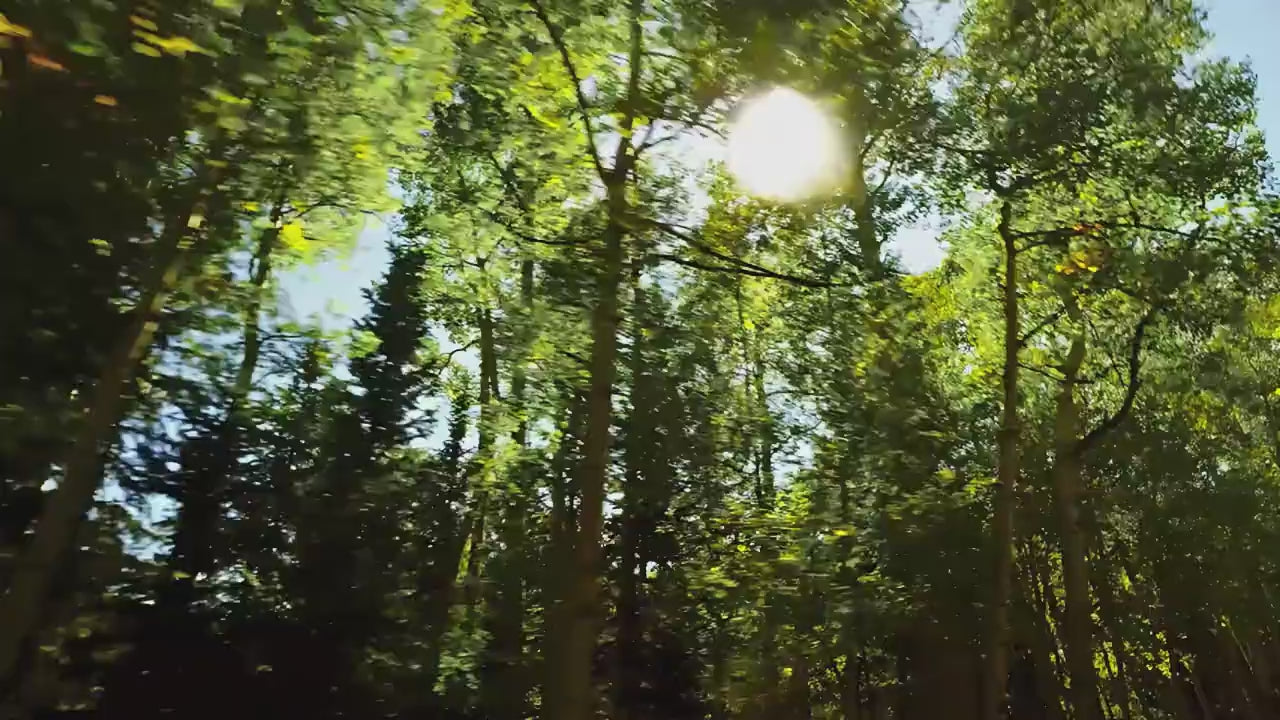 Load video: 